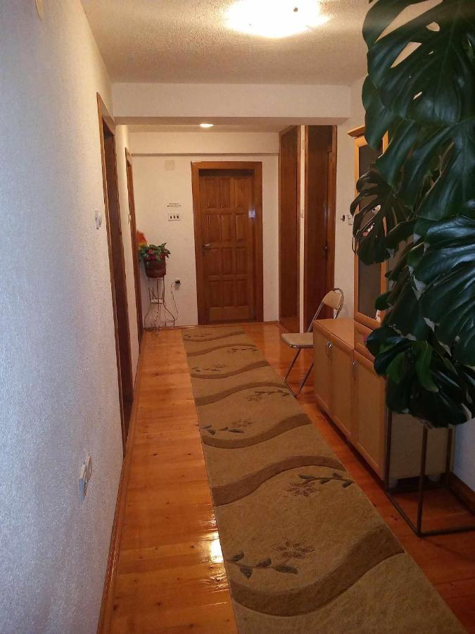Apartment Little Village 2 Plav Exteriör bild